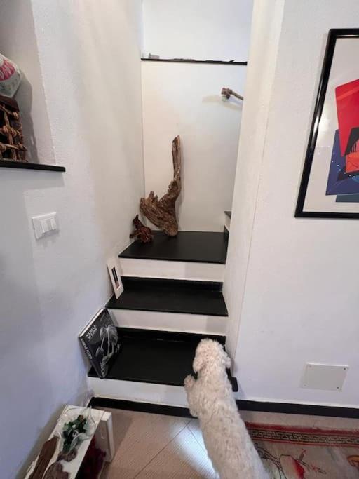 Apartament Casa Orri Quinto Mare E Gaslini Genua Zewnętrze zdjęcie